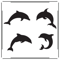 Dolphin silhouette, Dolphin illustration , Dolphin clipart, Dolphin vector , Dolphin  icon , black Dolphin , Dolphin illustration on white background, Dolphin vector illustration ,