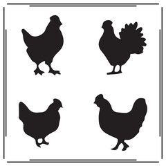Hen silhouette, Hen illustration , Hen clipart, Hen vector , Hen icon , black Hen, Hen illustration on white background, Hen vector illustration ,