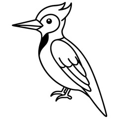 Minimalist Woodpecker Line Art Vector