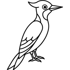 Minimalist Woodpecker Line Art Vector