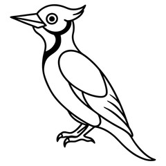 Minimalist Woodpecker Line Art Vector