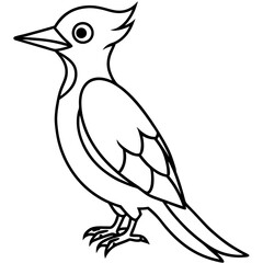 Minimalist Woodpecker Line Art Vector