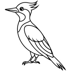 Minimalist Woodpecker Line Art Vector