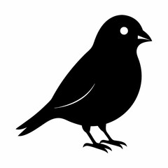 Elegant Canary Silhouette Vector Design