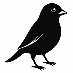 Elegant Canary Silhouette Vector Design