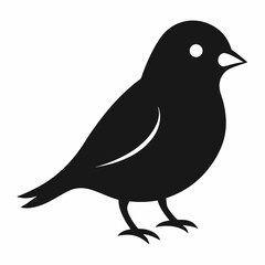 Elegant Canary Silhouette Vector Design