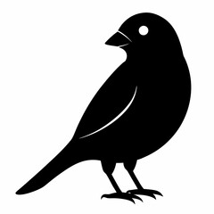 Elegant Canary Silhouette Vector Design