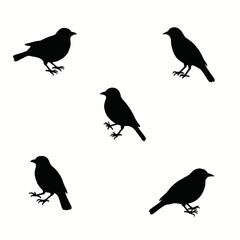 Obraz premium Bird vector, perched, flying, white background, design. illustration