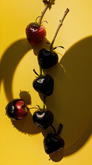 Strawberries in delectated mood and unnatural colors on different background
