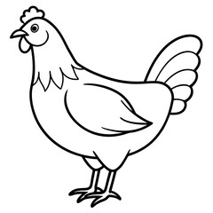 Elegant Chicken Outline Illustration