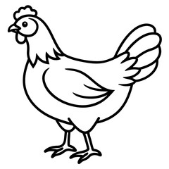 Elegant Chicken Outline Illustration