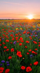 Fototapeta premium Vibrant Flower Fields