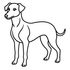Elegant Dog Outline Illustration