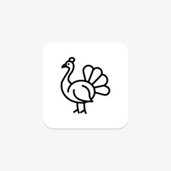 Peacock, vector, pixel perfect, illustrator file