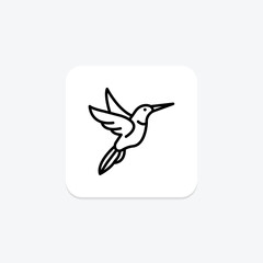 Hummingbird, vector, pixel perfect, illustrator file