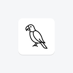 Parrot, vector, pixel perfect, illustrator file