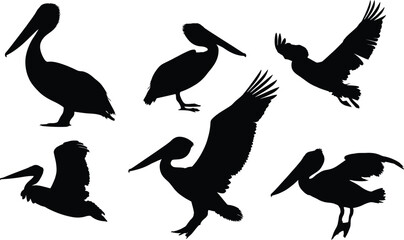 A collection of pelican silhouettes in various poses against a white background in a graphic style