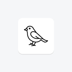 Sparrow, vector, pixel perfect, illustrator file