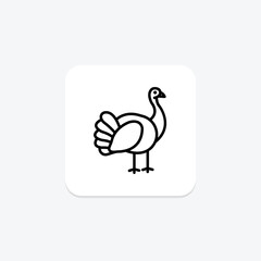 Turkey, vector, pixel perfect, illustrator file