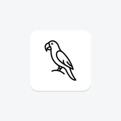 Macaw, vector, pixel perfect, illustrator file