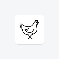 Hen, vector, pixel perfect, illustrator file