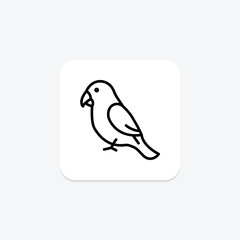 Fototapeta premium Lovebird, vector, pixel perfect, illustrator file