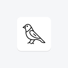 Finchley, vector, pixel perfect, illustrator file