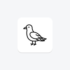 Kittiwake, vector, pixel perfect, illustrator file