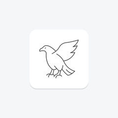 Eagle, vector, pixel perfect, illustrator file