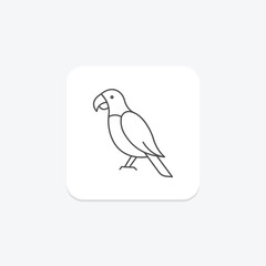 Parrot, vector, pixel perfect, illustrator file