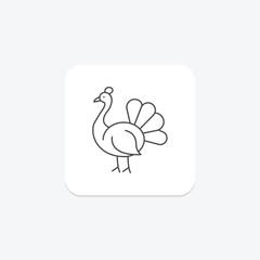 Peacock, vector, pixel perfect, illustrator file