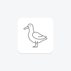 Albatross, vector, pixel perfect, illustrator file