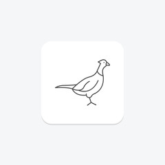 Pheasant, vector, pixel perfect, illustrator file