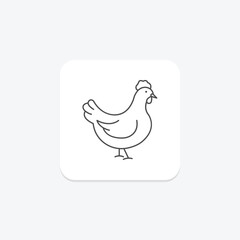 Chicken, vector, pixel perfect, illustrator file