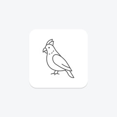 Cockatiel, vector, pixel perfect, illustrator file