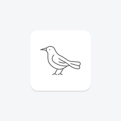 Thrush, vector, pixel perfect, illustrator file