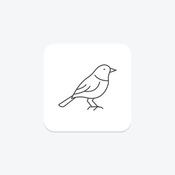 Warbler, vector, pixel perfect, illustrator file