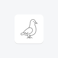 Fulmar, vector, pixel perfect, illustrator file