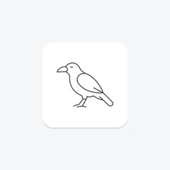 Chough, vector, pixel perfect, illustrator file