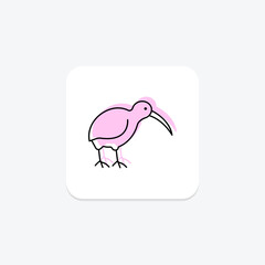 Obraz premium Kiwi, vector, pixel perfect, illustrator file
