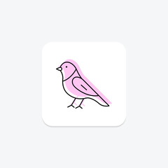 Canary, vector, pixel perfect, illustrator file