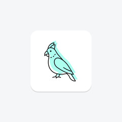 Cockatiel, vector, pixel perfect, illustrator file