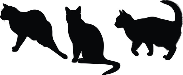 Three black cat silhouettes depicted in various poses against a white background design element art