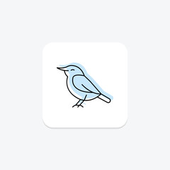 Nuthatch, vector, pixel perfect, illustrator file