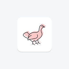 Capercaillie, vector, pixel perfect, illustrator file