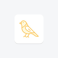 Canary, vector, pixel perfect, illustrator file