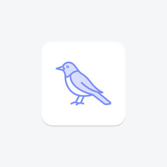 Oriole, vector, pixel perfect, illustrator file