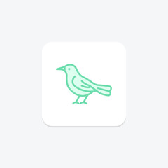 Thrush, vector, pixel perfect, illustrator file