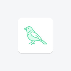 Siskin, vector, pixel perfect, illustrator file