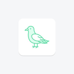 Kittiwake, vector, pixel perfect, illustrator file